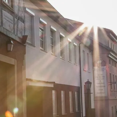 Gundelsheim Apartment *