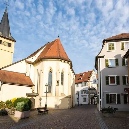Apartment Gundelsheim *